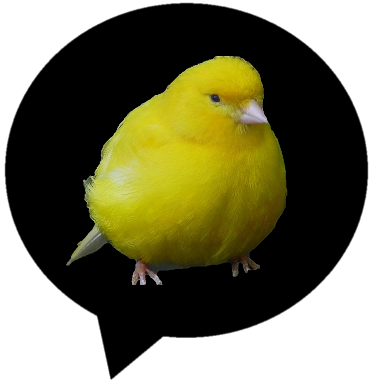 Птицы
