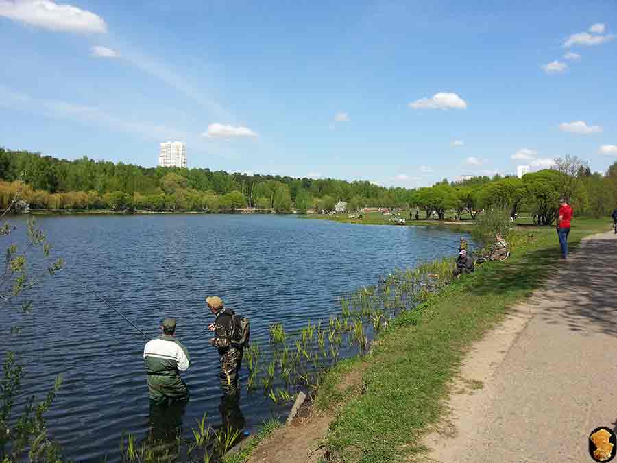 Парк Покровское-Стрешнево 2015