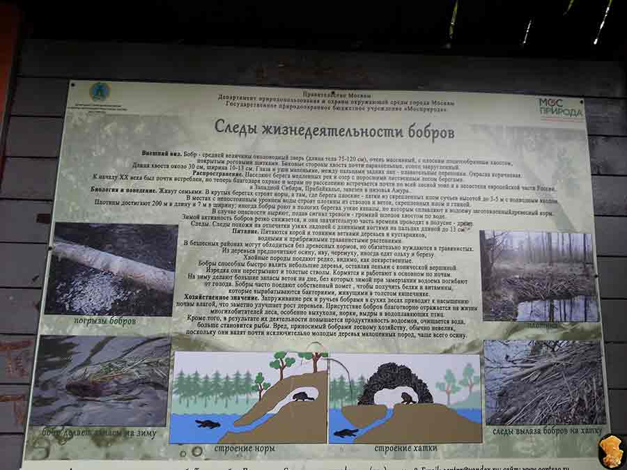 Парк Покровское-Стрешнево 2015