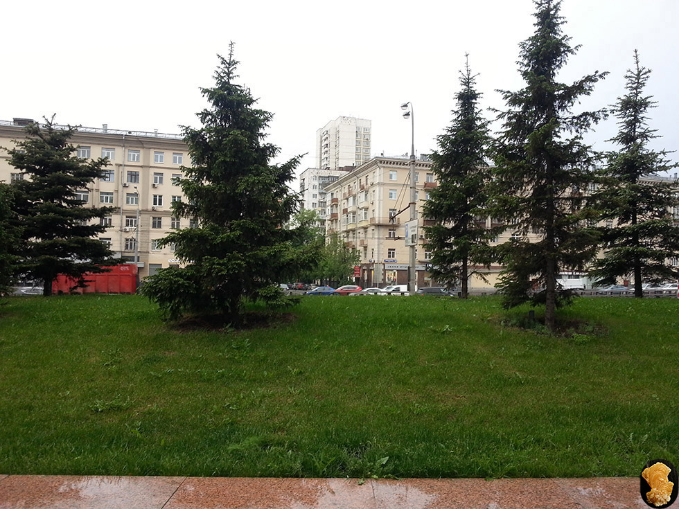 Ленинградское шоссе