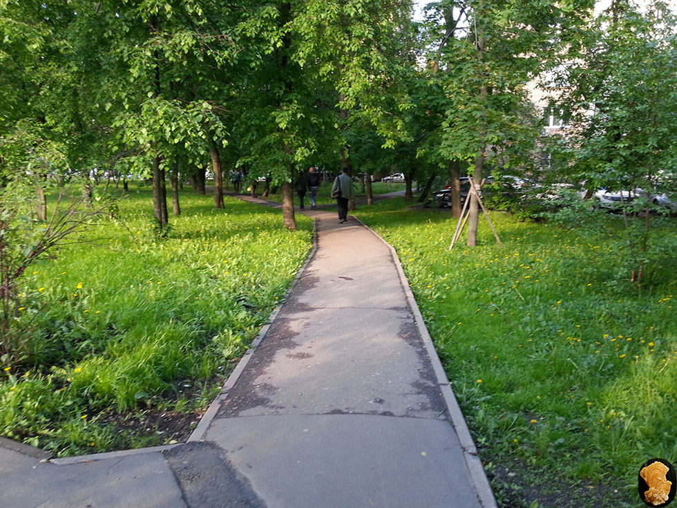 Улица Алабяна