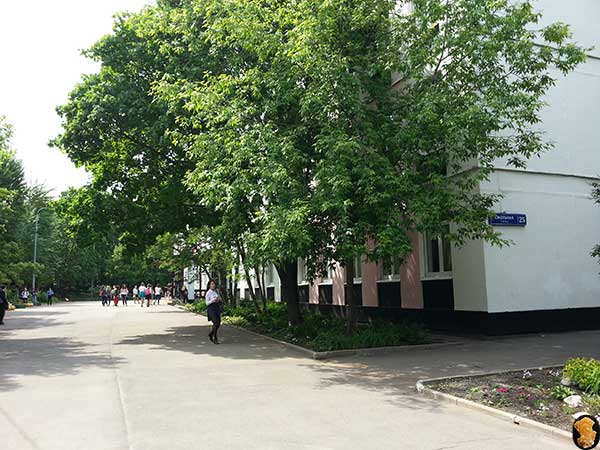 Гимназия 1583