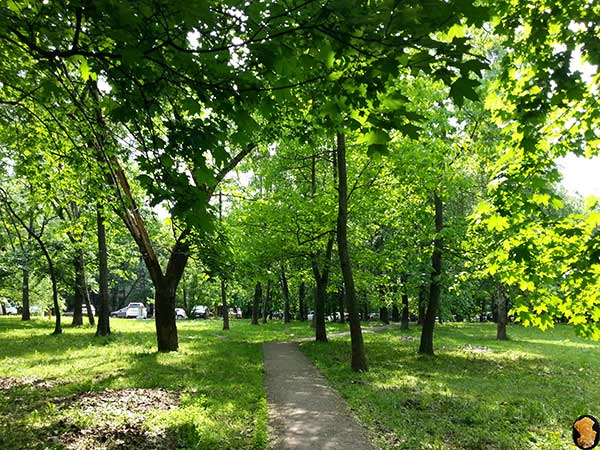 Смольная улица юг