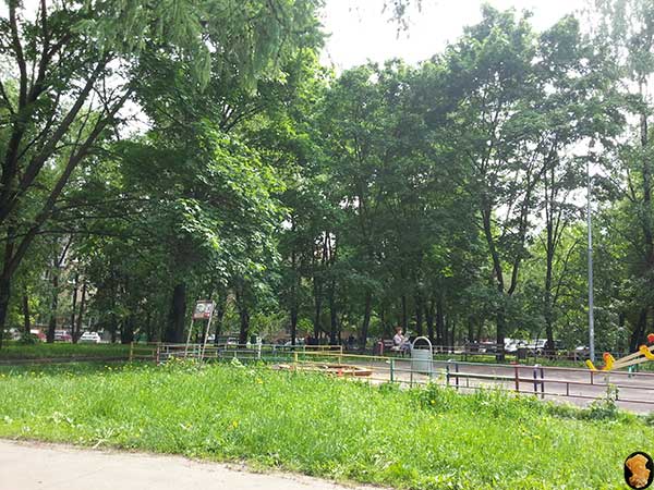Смольная улица юг