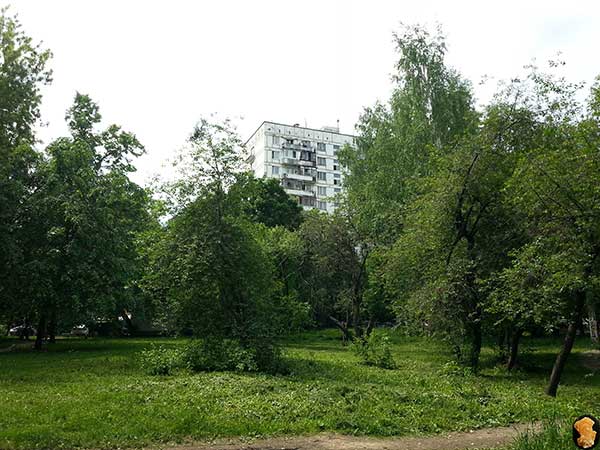 Смольная улица юг