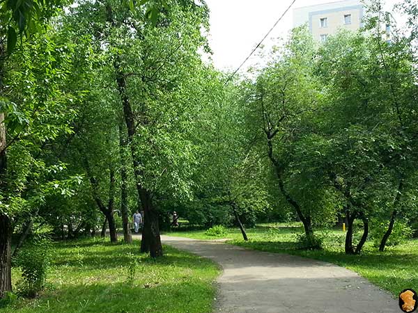 Смольная улица юг