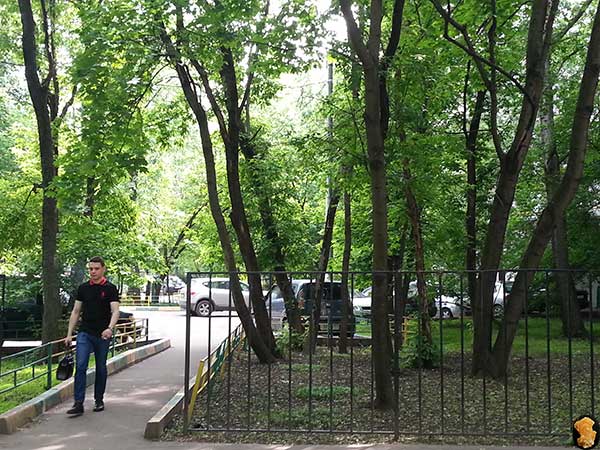 Авангардная улица