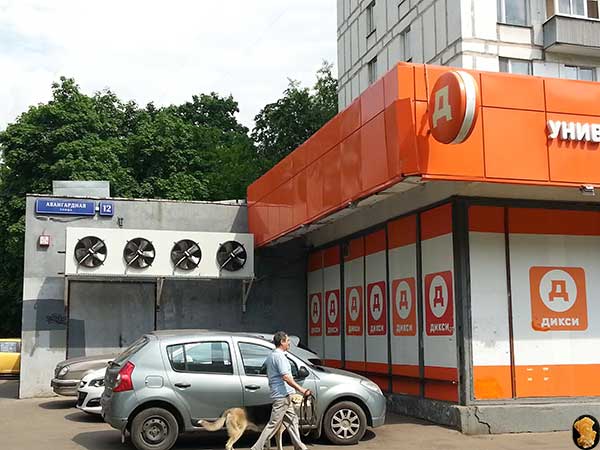 Авангардная улица