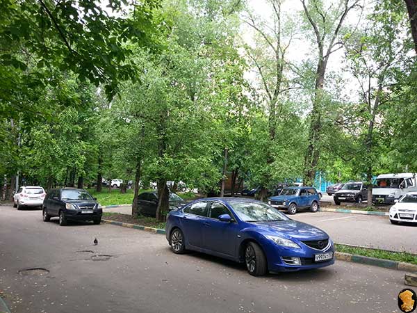 Авангардная улица