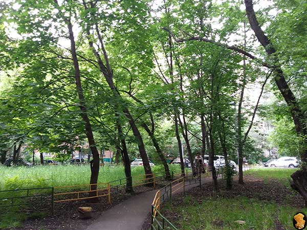 Авангардная улица