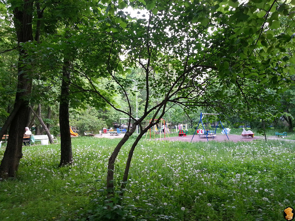 Улица Адмирала Макарова
