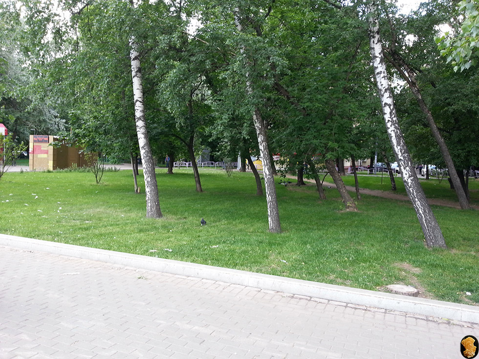 Ленинградское шоссе