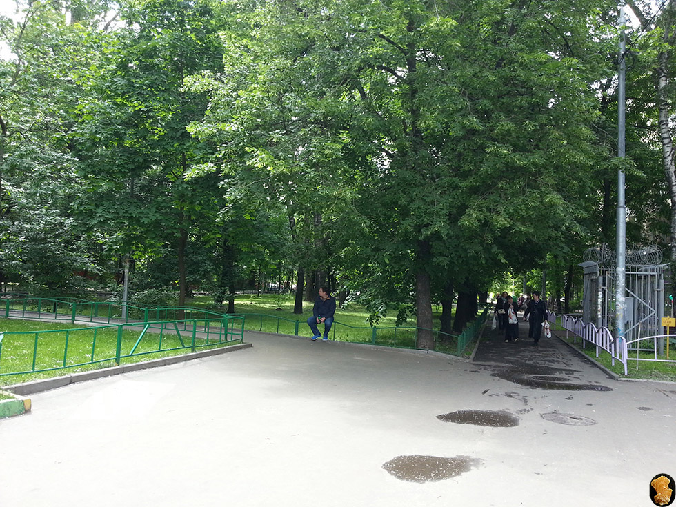 Ленинградское шоссе