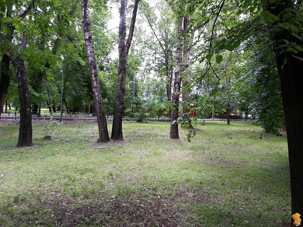 Ленинградское шоссе