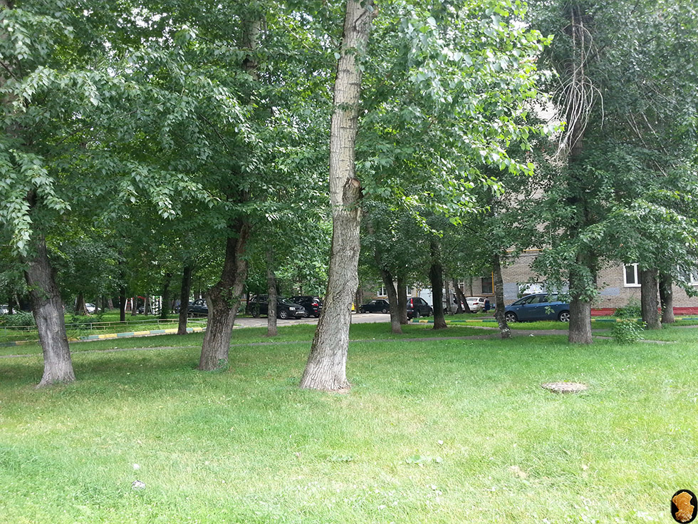 Бульвар Матроса Железняка