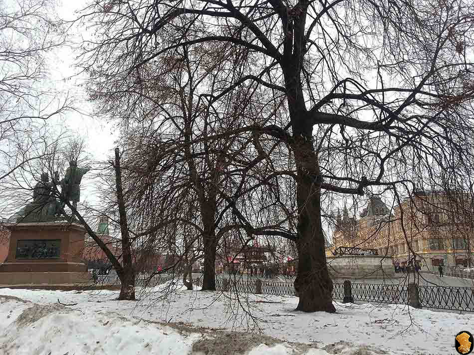 Храм Василия Блаженного