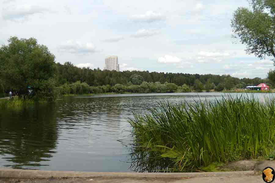 Парк Покровское-Стрешнево 2012
