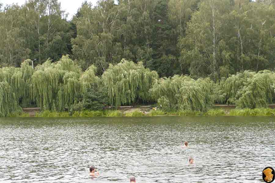 Парк Покровское-Стрешнево 2012