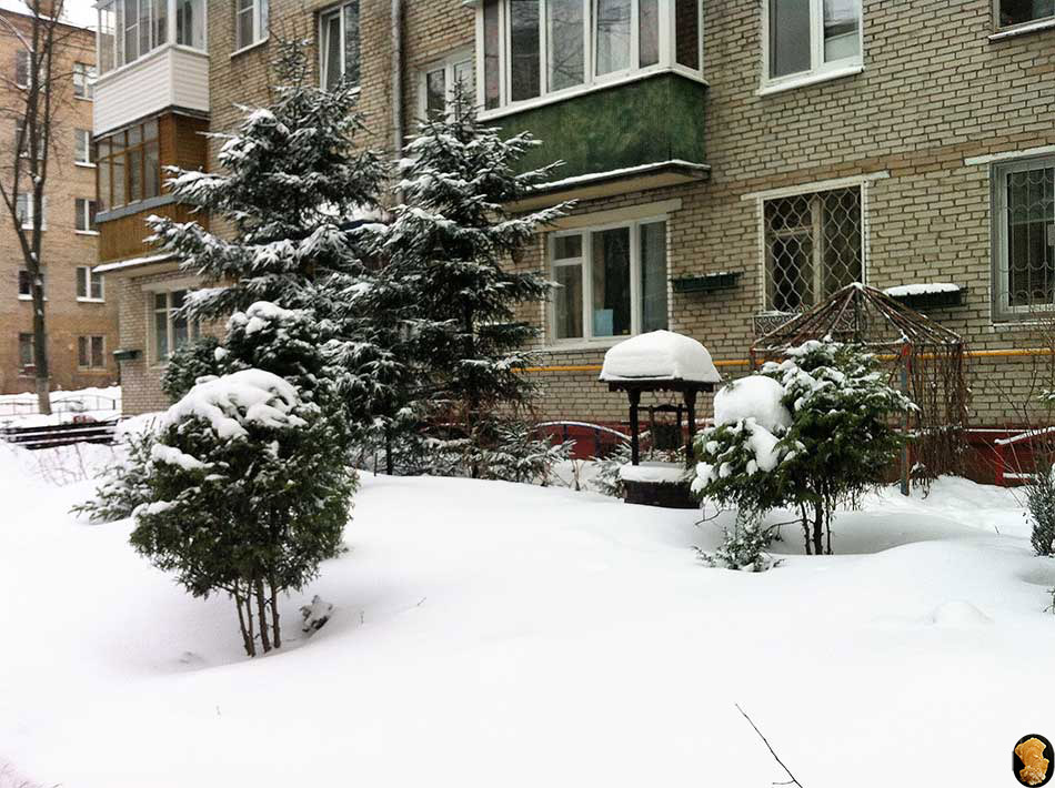 Двор 2-й Войковский пр.,7 
