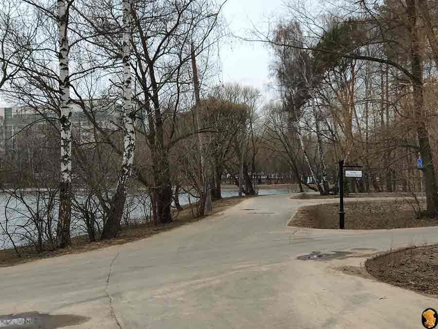 Парк Покровское-Стрешнево 2019