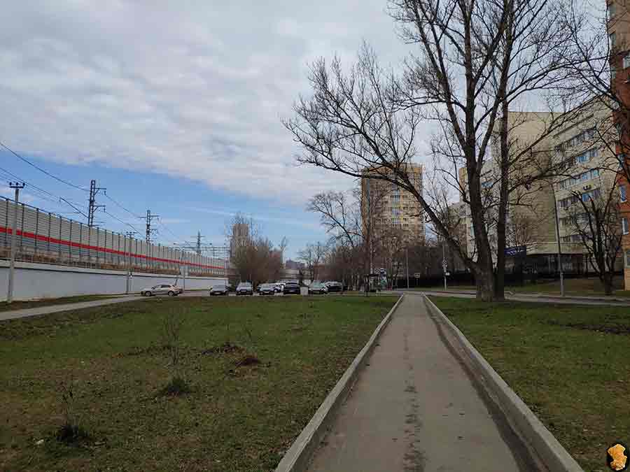 Парк Покровское-Стрешнево 2019