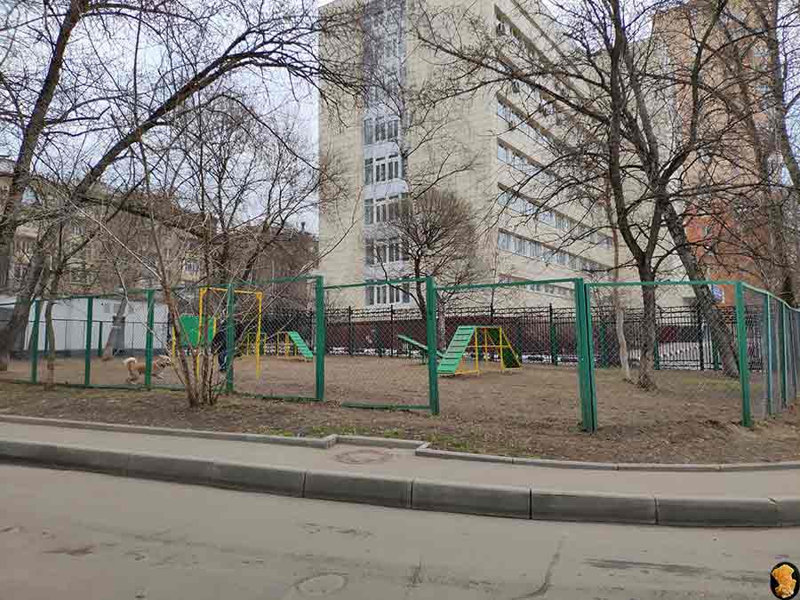 Парк Покровское-Стрешнево 2019