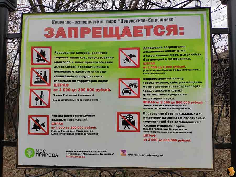 Парк Покровское-Стрешнево. Пруды шестой и седьмой. 2019 апрель