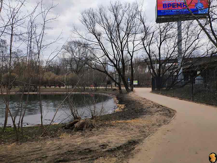 Парк Покровское-Стрешнево. Пруды шестой и седьмой. 2019 апрель