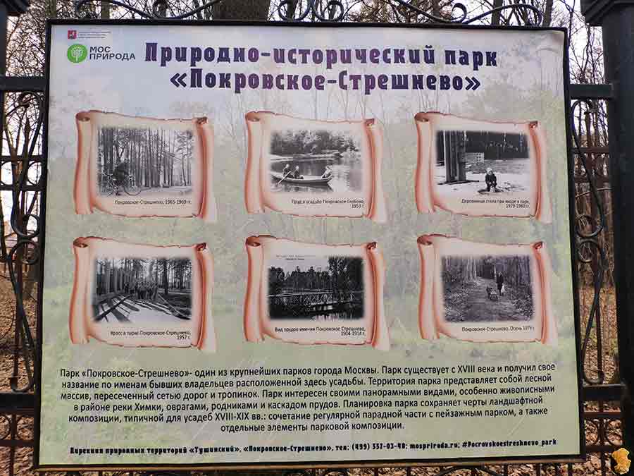 Парк Покровское-Стрешнево. Пруды шестой и седьмой. 2019 апрель