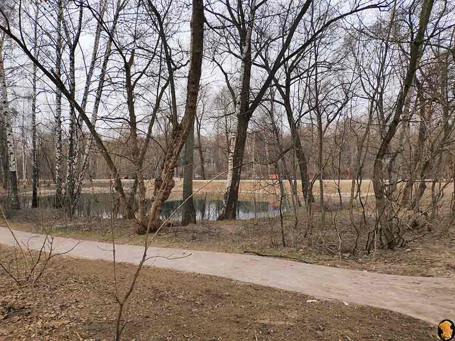 Парк Покровское-Стрешнево. Пруды пятый, шестой, седьмой (где церковь и усадьба). Апрель 2019