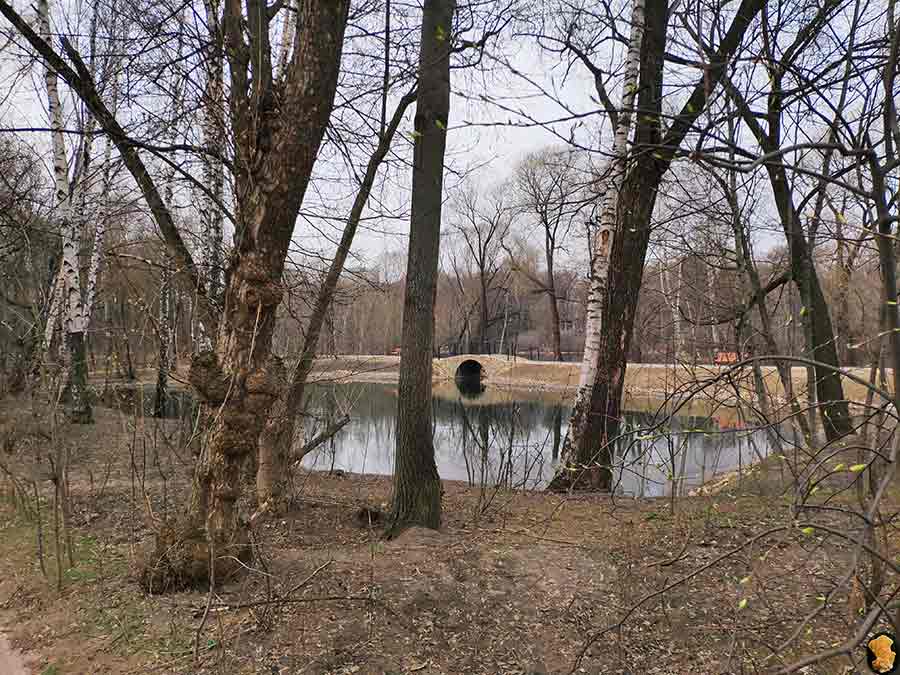 Парк Покровское-Стрешнево. Пруды пятый, шестой, седьмой (где церковь и усадьба). Апрель 2019