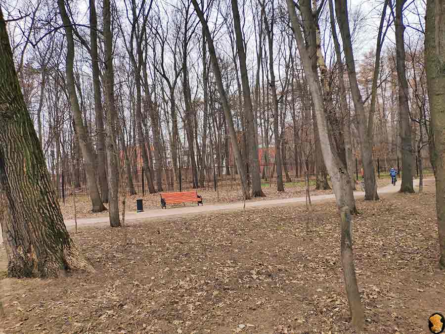 Парк Покровское-Стрешнево. Пруды пятый, шестой, седьмой (где церковь и усадьба). Апрель 2019