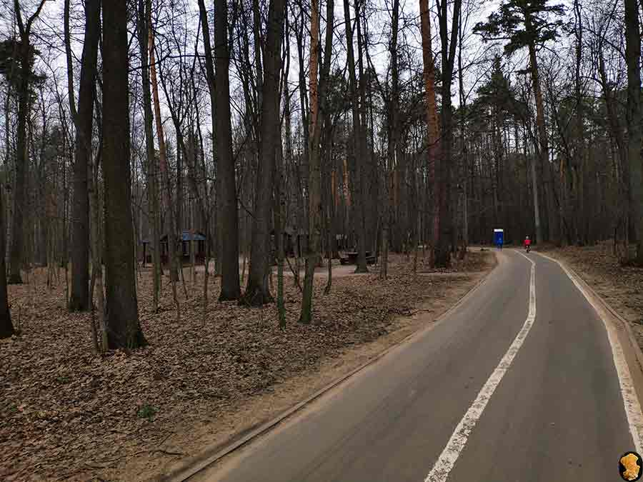 Парк Покровское-Стрешнево. Пруды пятый, шестой, седьмой (где церковь и усадьба). Апрель 2019