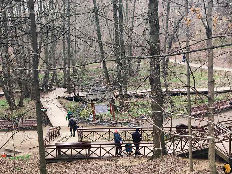 Парк Покровское-Стрешнево. Пруды пятый, шестой, седьмой (где церковь и усадьба). Апрель 2019