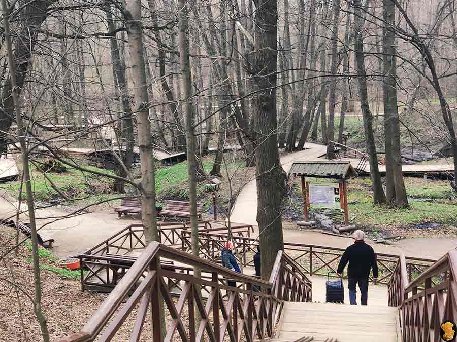 Парк Покровское-Стрешнево. Пруды пятый, шестой, седьмой (где церковь и усадьба). Апрель 2019