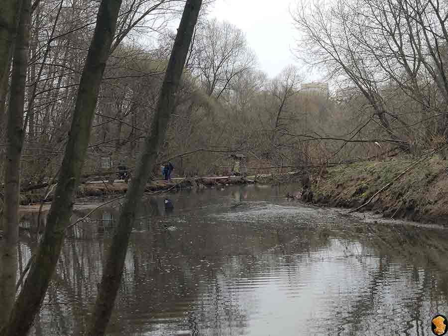 Парк Покровское-Стрешнево. Пруды пятый, шестой, седьмой (где церковь и усадьба). Апрель 2019