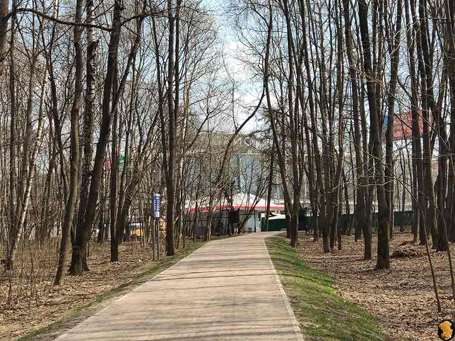 Парк Покровское-Стрешнево. Пруды первый и второй. 2019 апрель