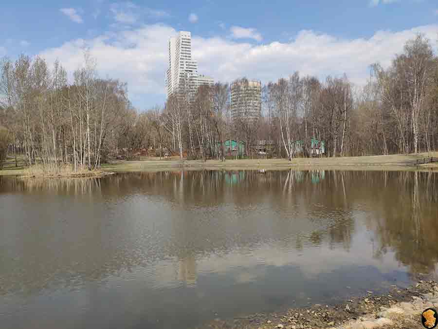 Парк Покровское-Стрешнево. Пруды первый и второй. 2019 апрель