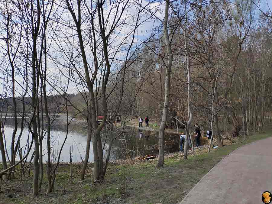 Парк Покровское-Стрешнево. Пруды первый и второй. 2019 апрель
