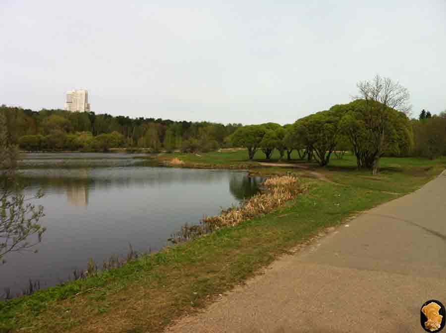 Парк Покровское-Стрешнево 2017
