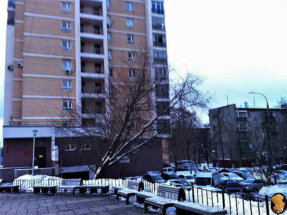 Шелепиха