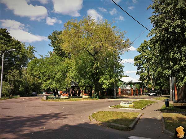 Поселок Сокол в июне