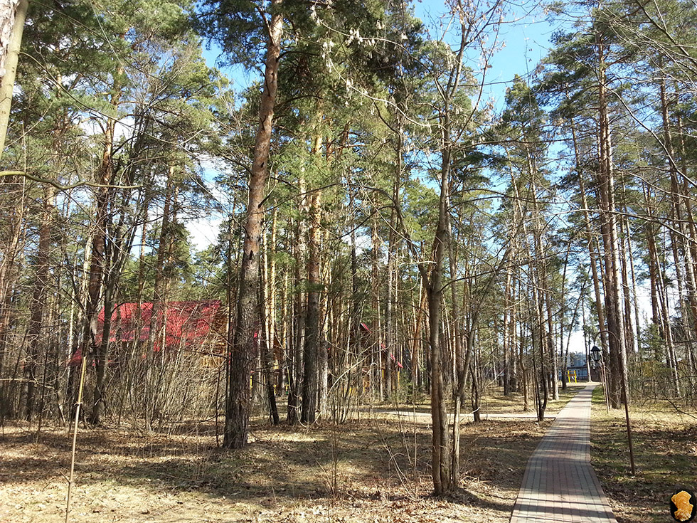 ВКС-Кантри