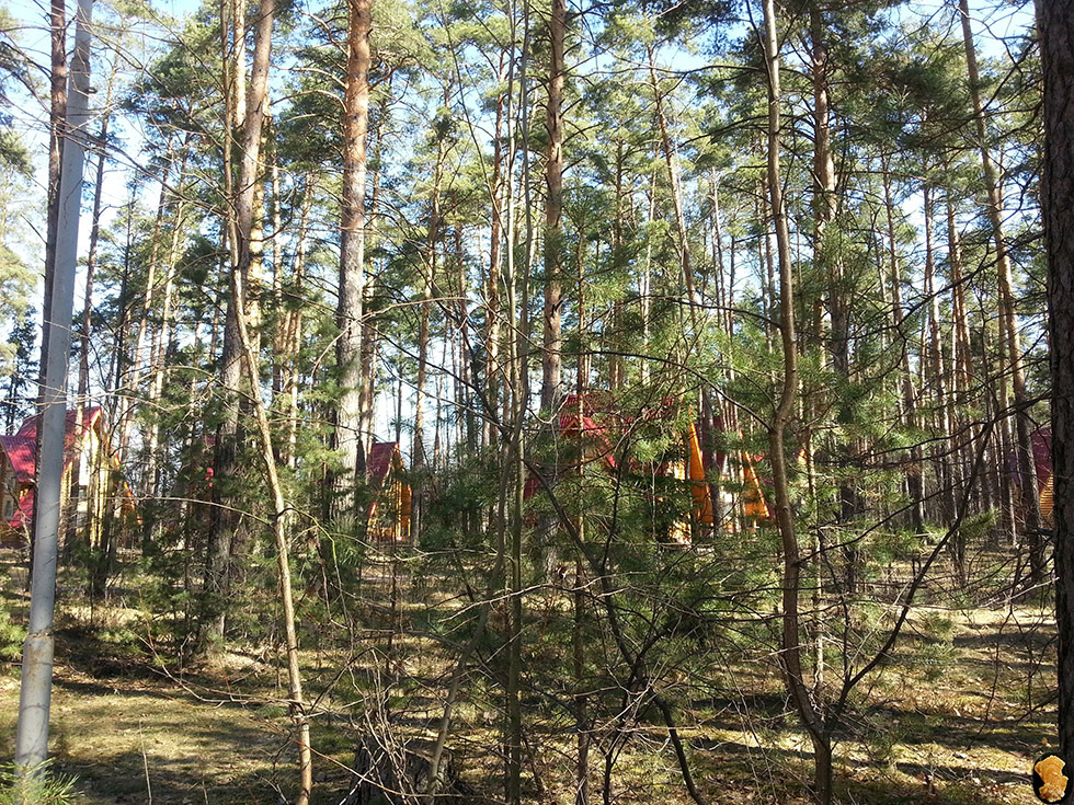 ВКС-Кантри