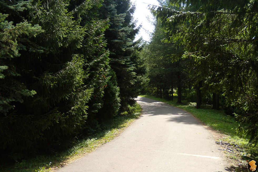 Дендропарк