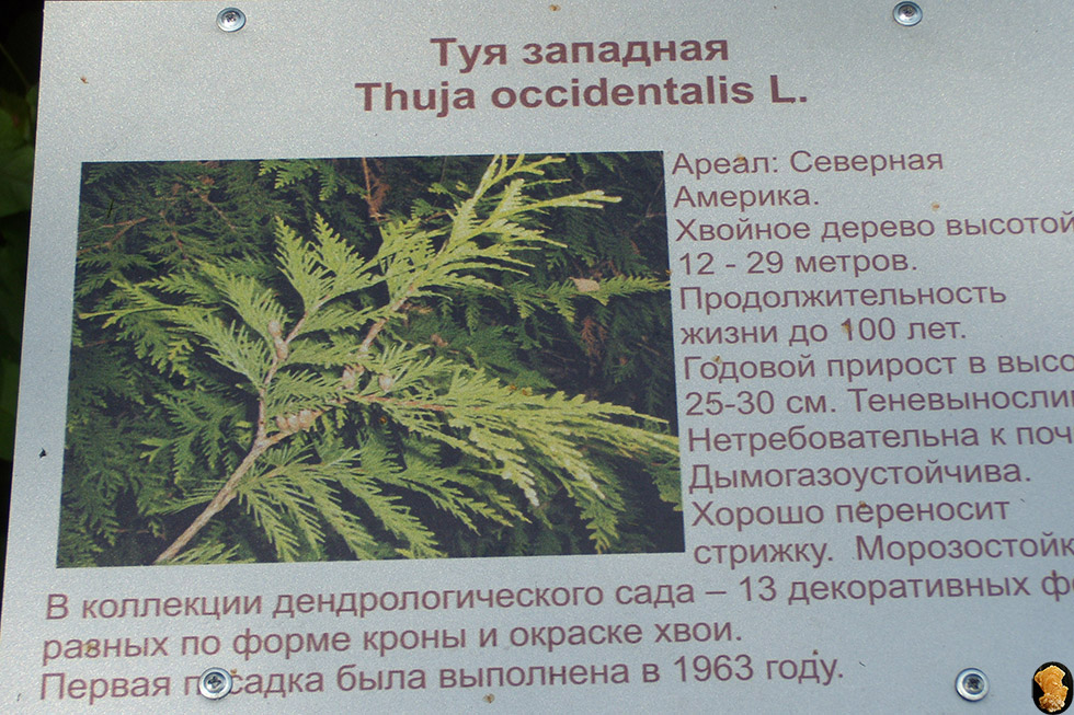 Дендропарк