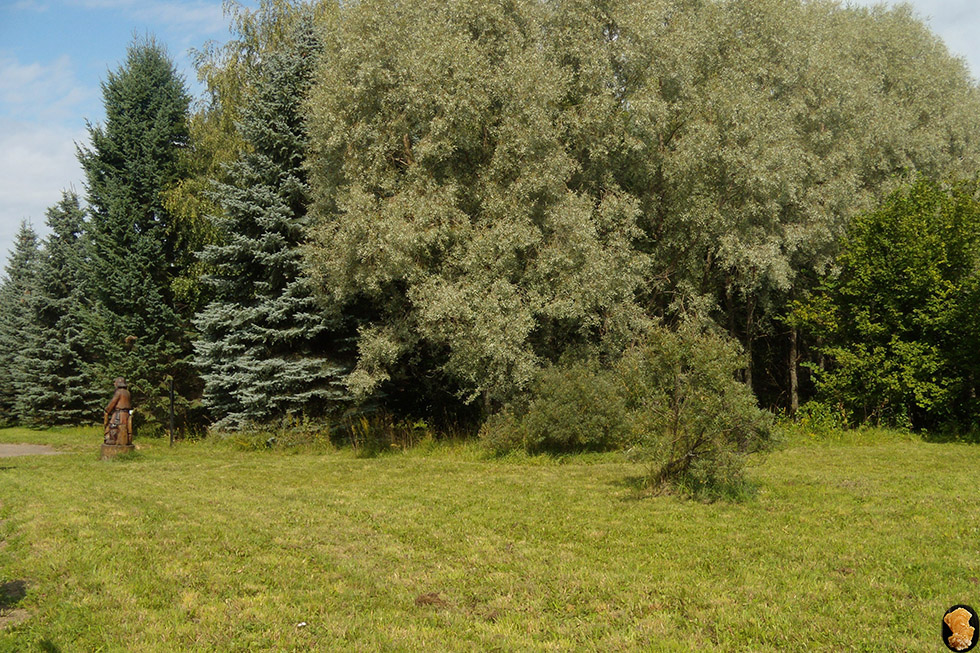 Дендропарк