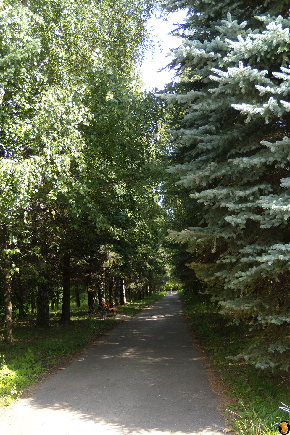 Дендропарк