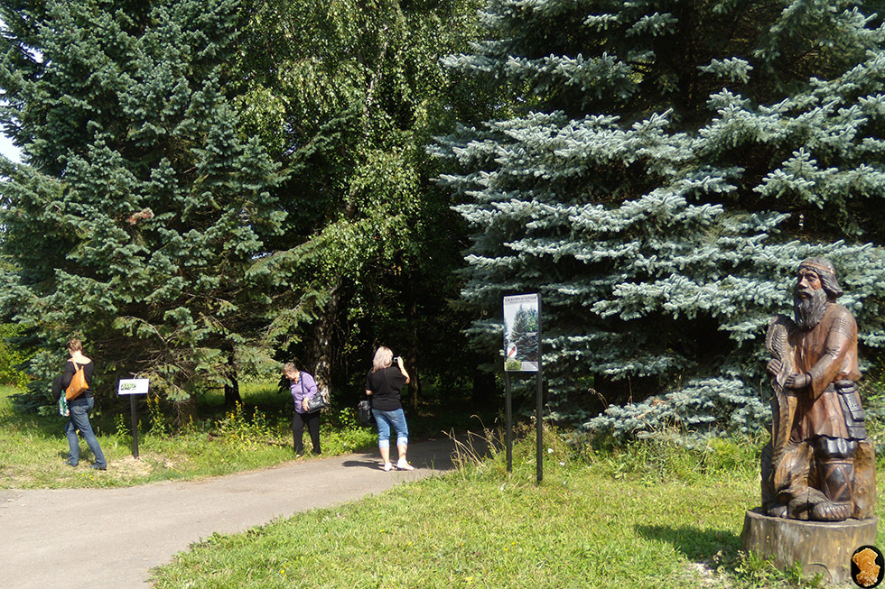 Дендропарк