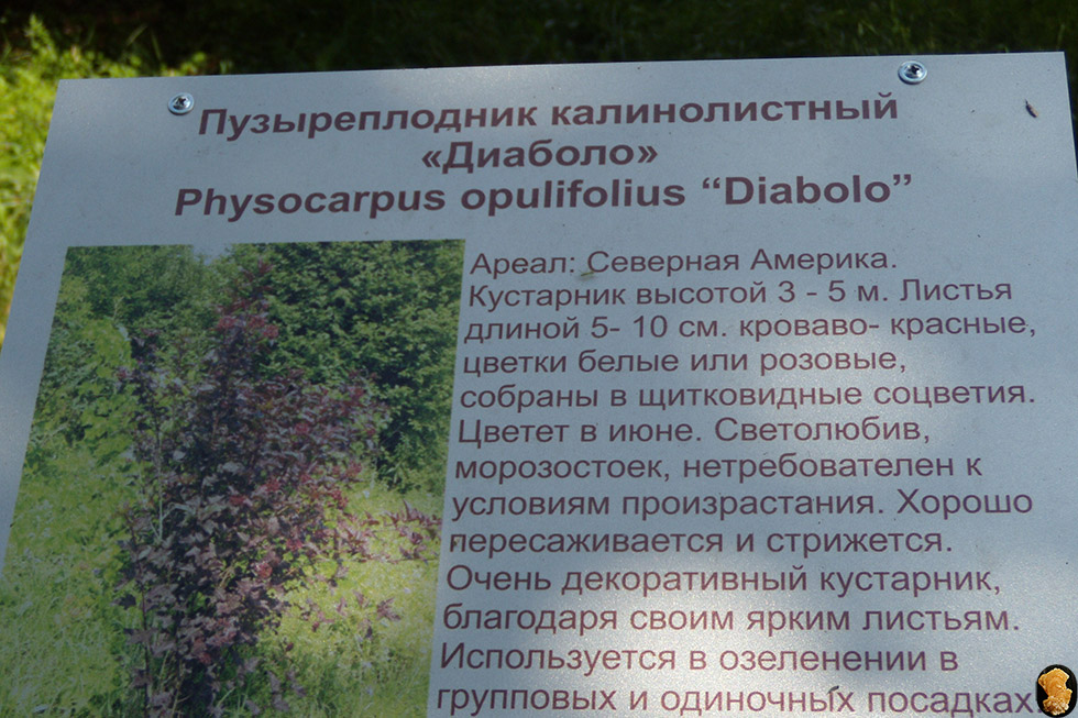 Дендропарк